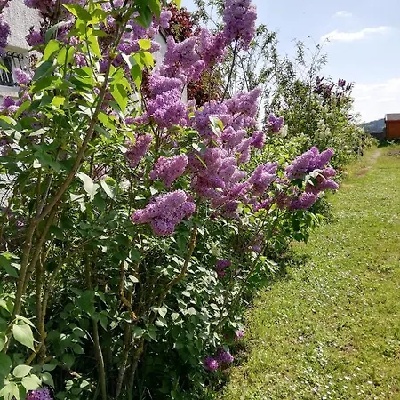 Homestay Privee Calme,campagne,etape,deplacement Pro,abri Moto Velo,parking Vaux-sur-Vienne