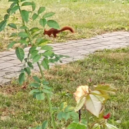 Privee Calme,campagne,etape,deplacement Pro,abri Moto Velo,parking * Vaux-sur-Vienne